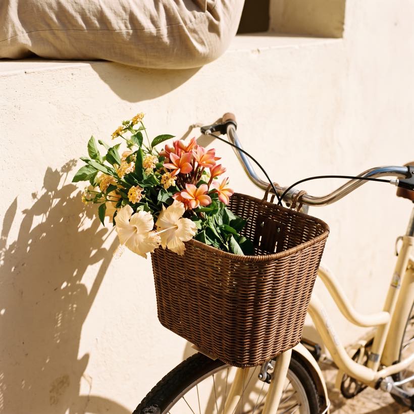 Flores en la canasta de la bicicleta
